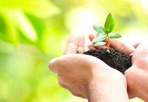 Reducí tu huella y se parte una generación sustentable